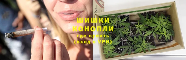 трава Алзамай