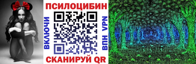 mega зеркало  Моздок  Галлюциногенные грибы Psilocybe 