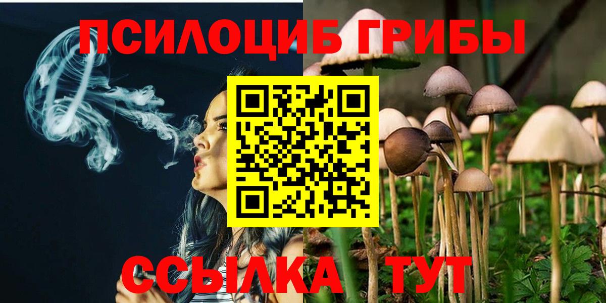 Галлюциногенные грибы Psilocybine cubensis  Вход с VPN  Моздок  Галлюциногенные грибы Psilocybine cubensis 