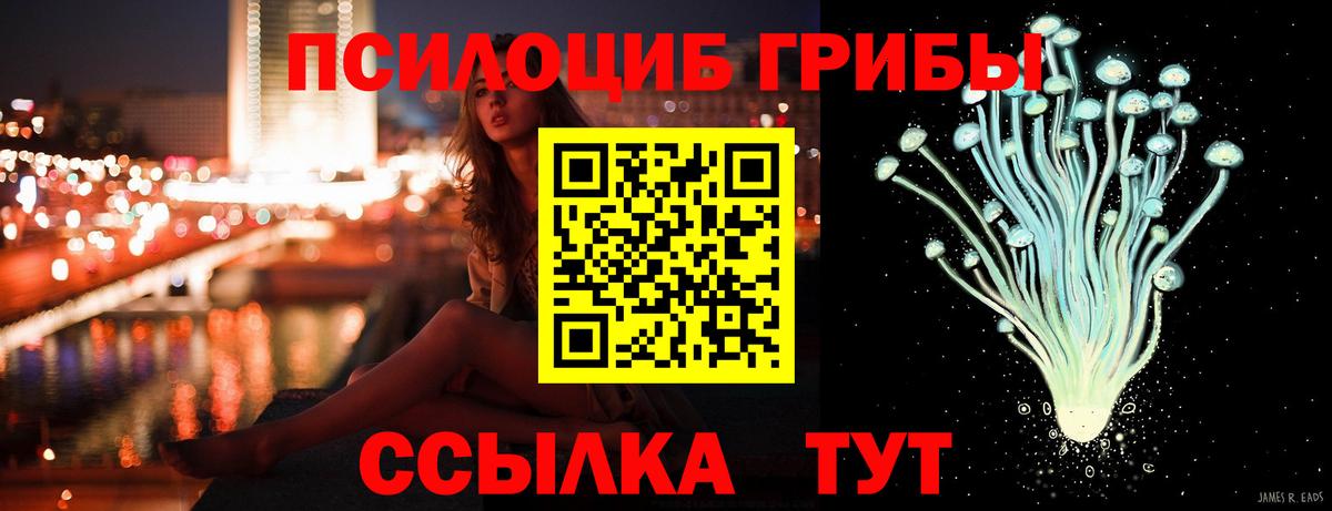 Галлюциногенные грибы Psilocybe Моздок