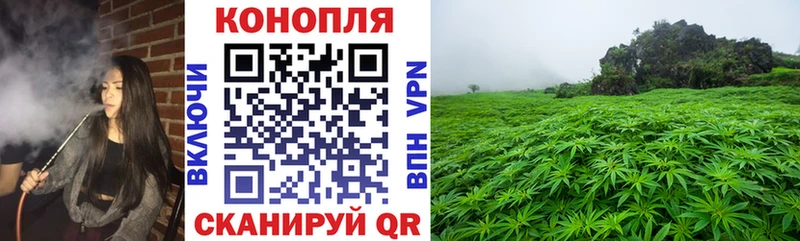 shop как зайти  Моздок  Шишки марихуана MAZAR 